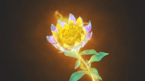 5EB81760-F870-462A-9D15-3BD0F1F701DF